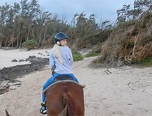Atk Girlfriends 05/21/19 – Elsa Jean Hawaii #2 – Part 3 Elsa rides a horse on the beach. 1320×680 wmv mp3 Audio  SITERIP ATKINGDOM