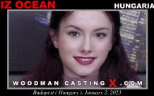 WoodmancastingX.com Liz Ocean Release: 16:28  WEB-DL Mutimirror h.264 DVX