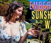 Girls out West Emberley – Sunshine Walk  GAW  Siterip 1080p wmv HD